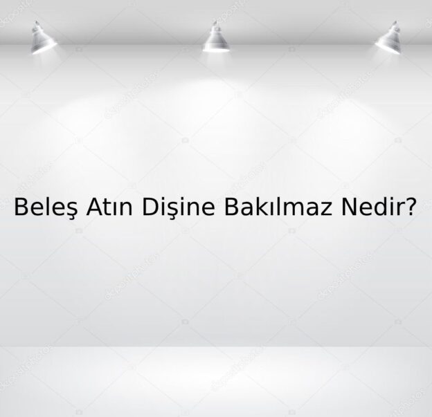 Beleş Atın Dişine Bakılmaz Nedir? 10