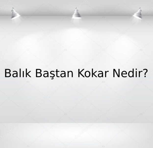 Balık Baştan Kokar Nedir? 7