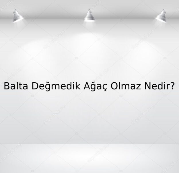 Balta Değmedik Ağaç Olmaz Nedir? 1