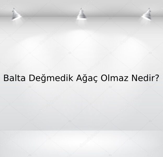 Balta Değmedik Ağaç Olmaz Nedir? 1