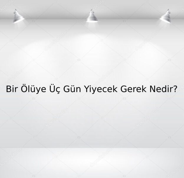 Bir Günlük Ölüye Üç Gün Yiyecek Gerek Nedir? 1