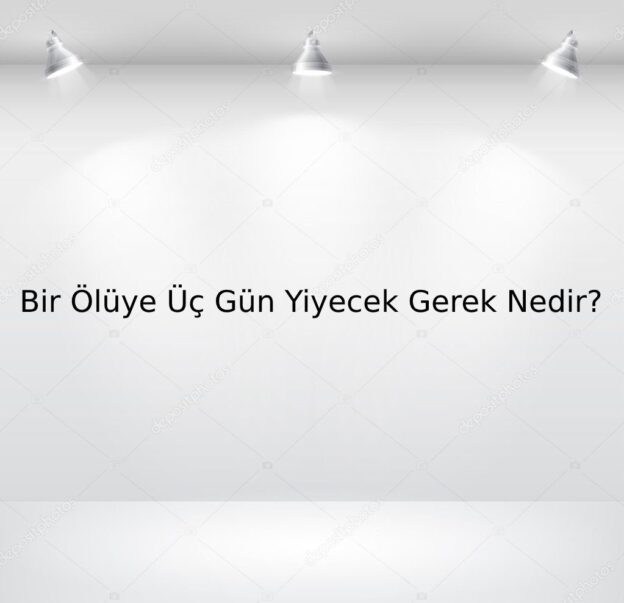 Bir Günlük Ölüye Üç Gün Yiyecek Gerek Nedir? 6