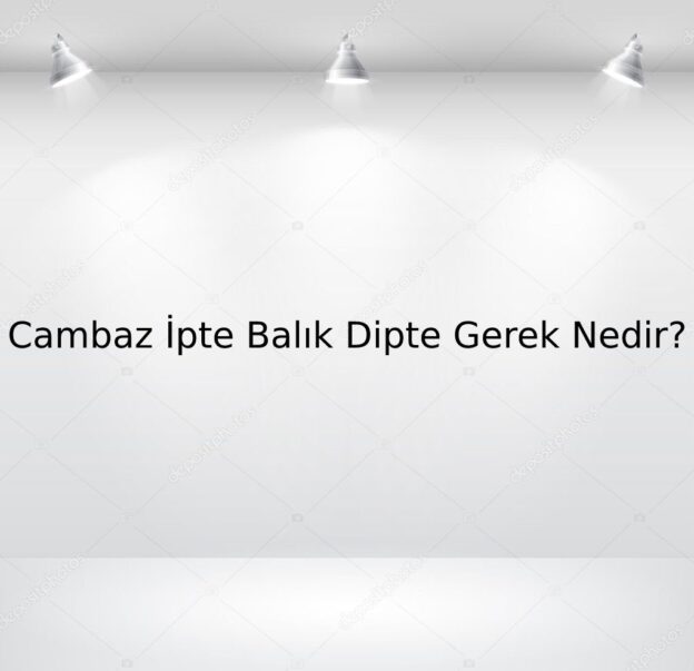 Cambaz İpte Balık Dipte Gerek Nedir? 1