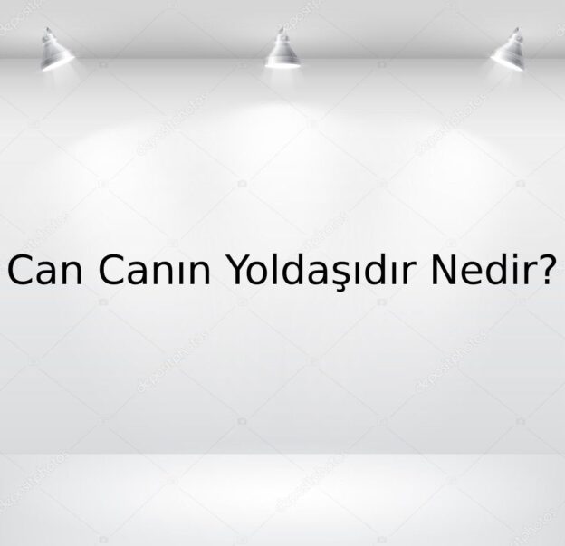 Can Canın Yoldaşıdır Nedir? 1