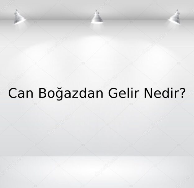 Can Boğazdan Gelir Nedir? 1