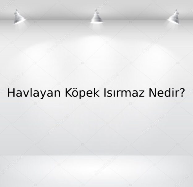 Havlayan Köpek Isırmaz Nedir? 1