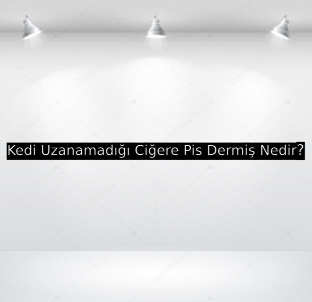 Kedi Uzanamadığı Ciğere Pis Der Nedir? 2