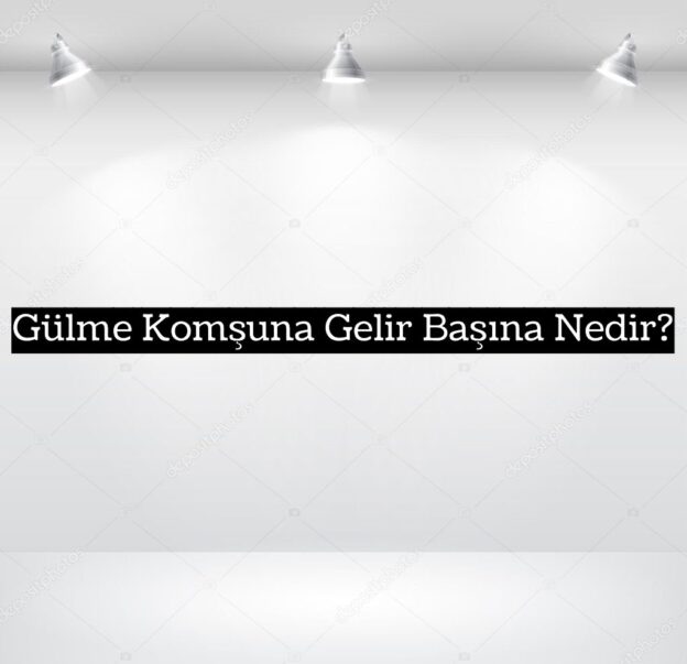 Gülme Komşuna Gelir Başına Nedir? 1