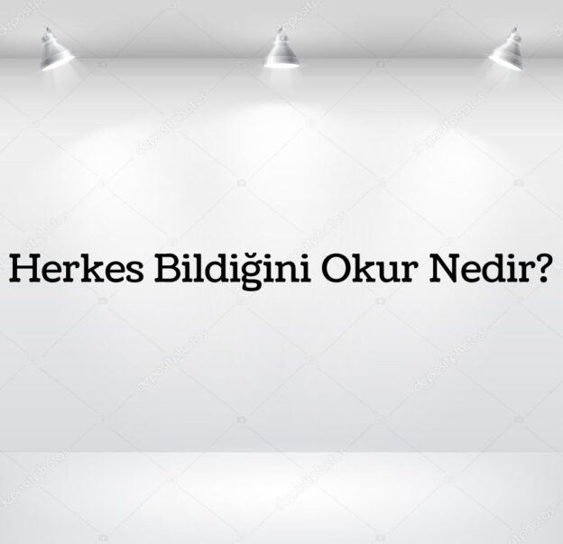 Herkes Bildiğini Okur Nedir? 4