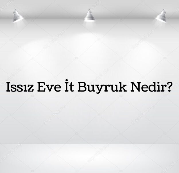 Issız Eve İt Buyruk Nedir? 1