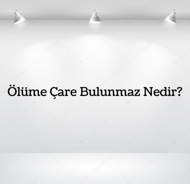 Ölüme Çare Bulunmaz Nedir? 1