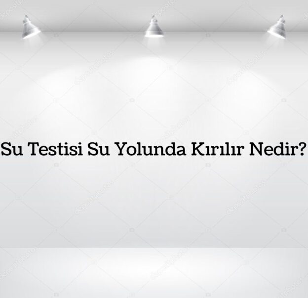 Su Testisi Su Yolunda Kırılır Nedir? 8