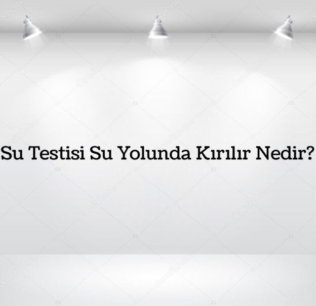 Su Testisi Su Yolunda Kırılır Nedir? 8