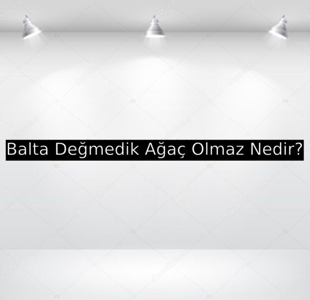 Balta Değmedik Ağaç Olmaz Nedir? 1