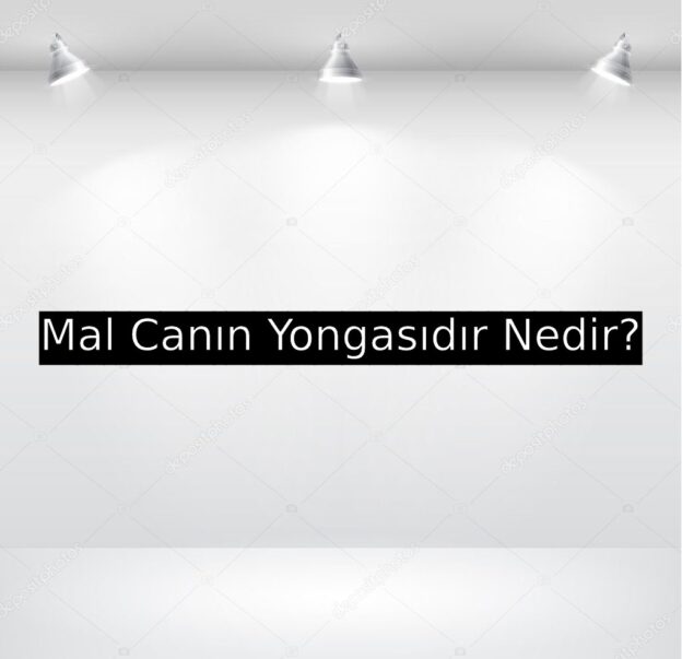 Mal Canın Yongasıdır Nedir? 1