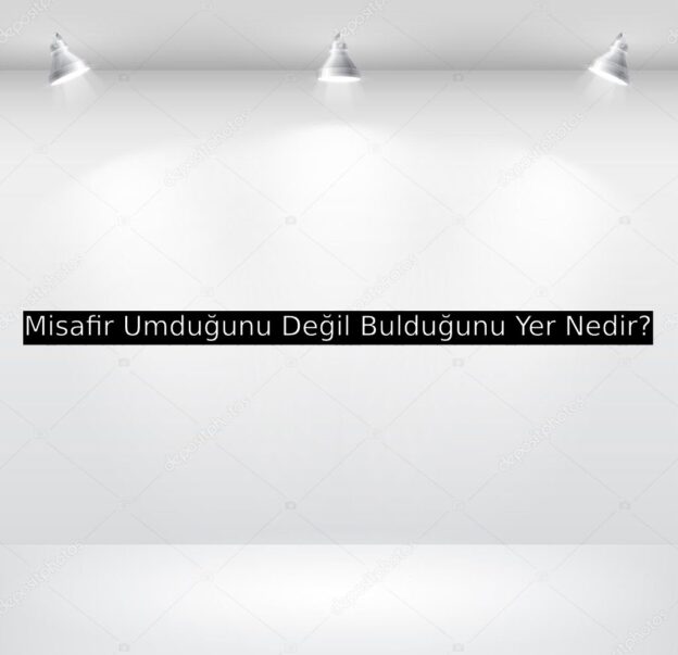 Misafir Umduğunu Değil Bulduğunu Yer Nedir? 4