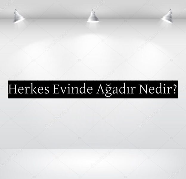 Herkes Evinde Ağadır Nedir? 9