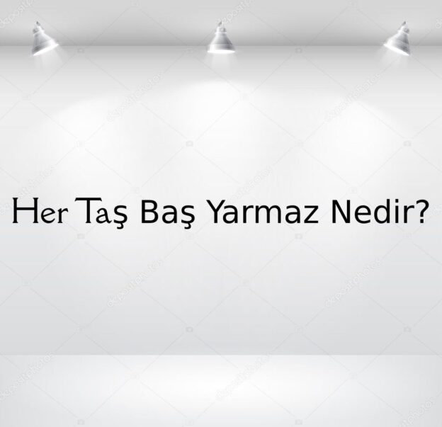 Her Taş Baş Yarmaz Nedir? 10