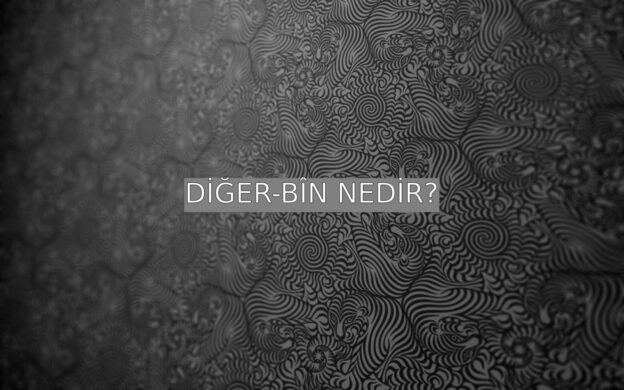 Diğer-bîn Nedir? 1