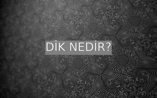 Dîk Nedir? 1