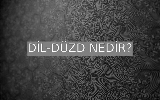 Dil-düzd Nedir? 1