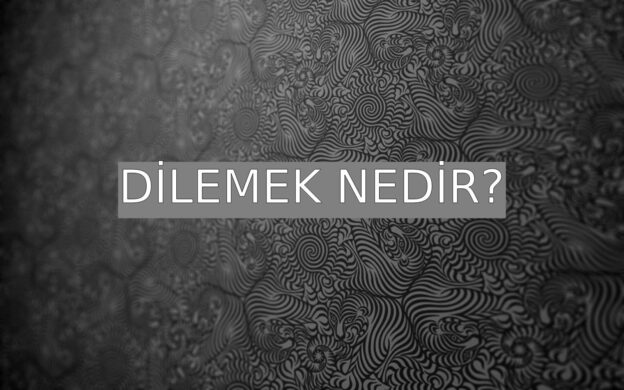 Dilemek Nedir? 1