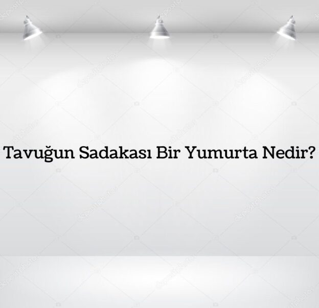 Tavuğun Sadakası Bir Yumurta Nedir? 5