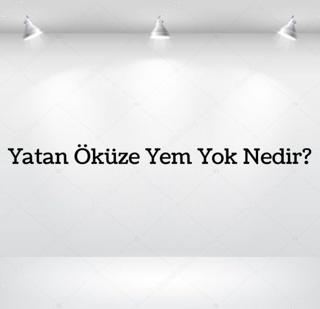 Yatan Öküze Yem Yok Nedir? 2