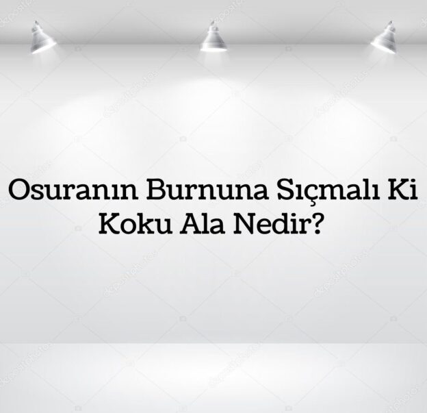 Osuranın Burnuna Sıçmalı Ki Koku Ala Nedir? 5