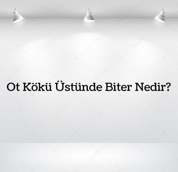 Ot Kökü Üstünde Biter Nedir? 4