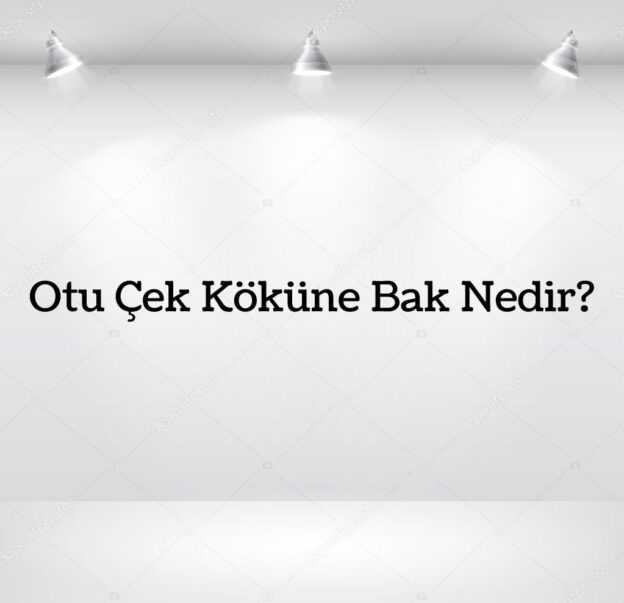 Otu Çek Köküne Bak Nedir? 3