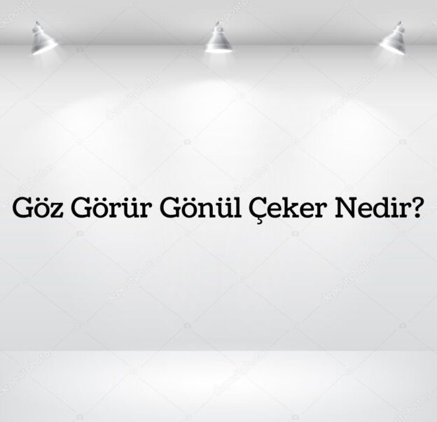 Göz Görür Gönül Çeker Nedir? 1