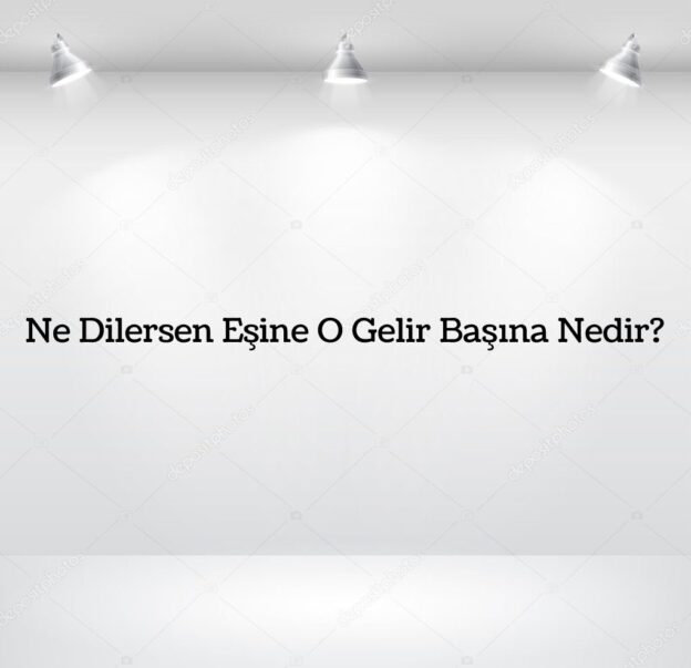 Ne Dilersen Eşine O Gelir Başına Nedir? 4