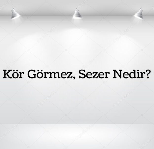 Kör Görmez, Sezer Nedir? 1
