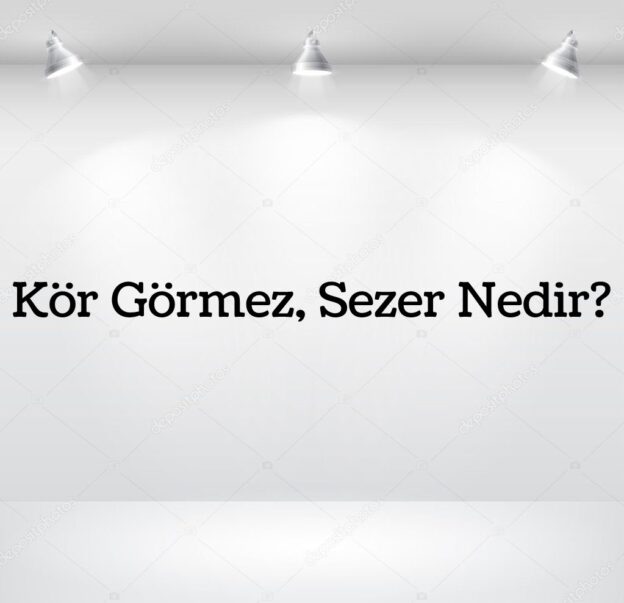 Kör Görmez, Sezer Nedir? 1