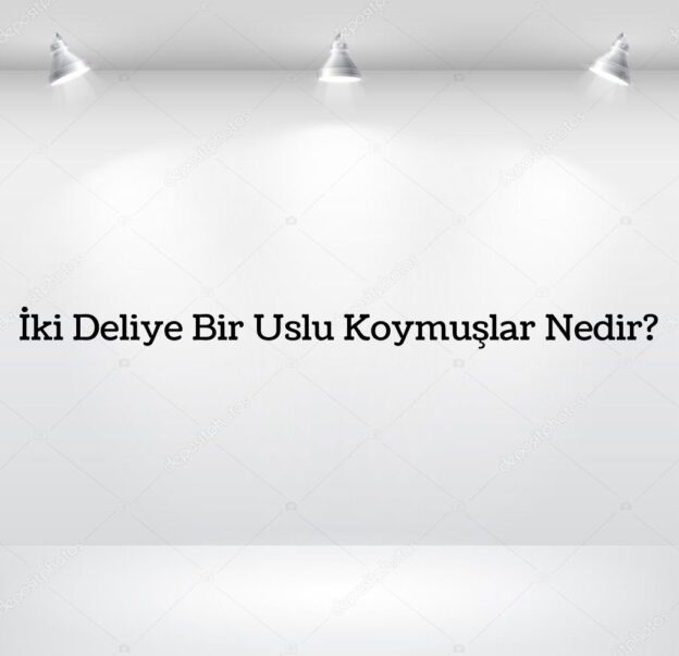 İki Deliye Bir Uslu Koymuşlar Nedir? 1