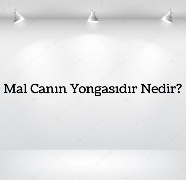 Mal Canın Yongasıdır Nedir? 1