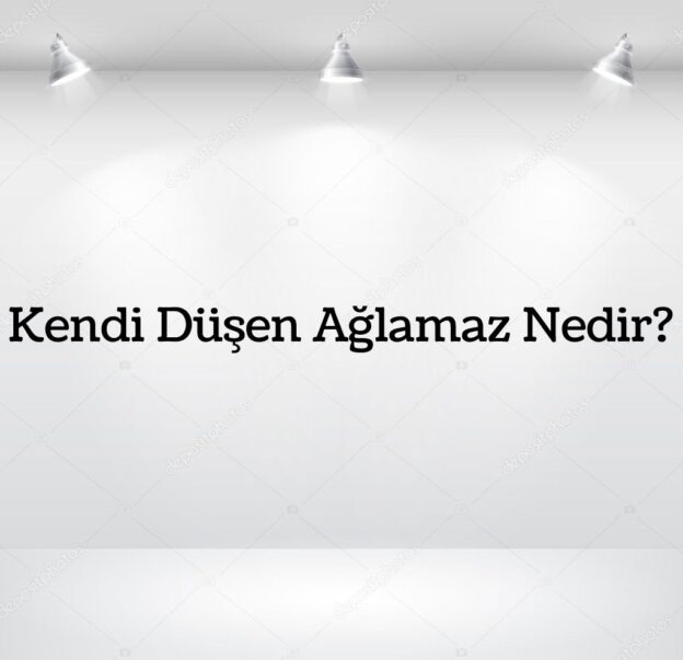 Kendi Düşen Ağlamaz Nedir? 5