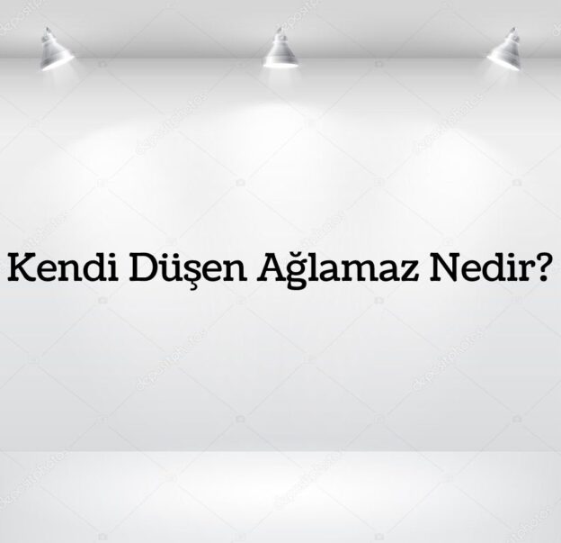 Kendi Düşen Ağlamaz Nedir? 1