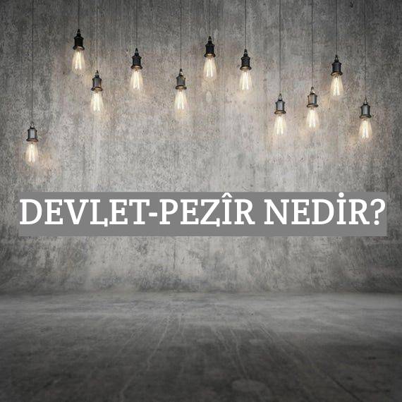 Devlet-pezîr Nedir? 1