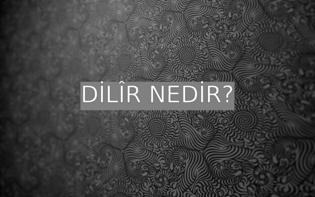 Dilîr Nedir? 1