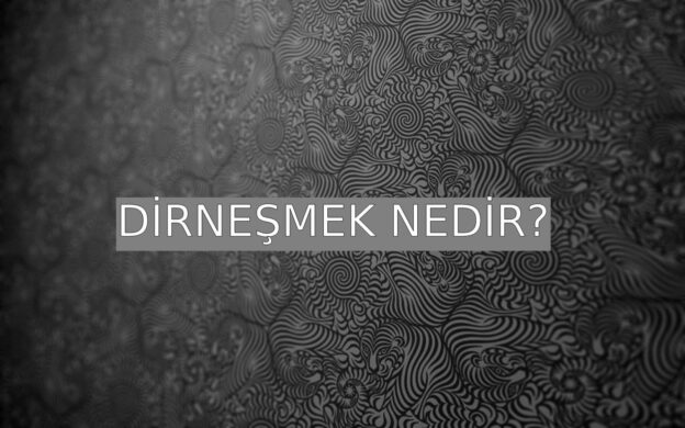 Dirneşmek Nedir? 1