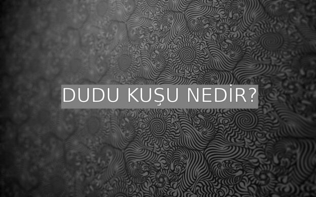 Dudu Kuşu Nedir? 1