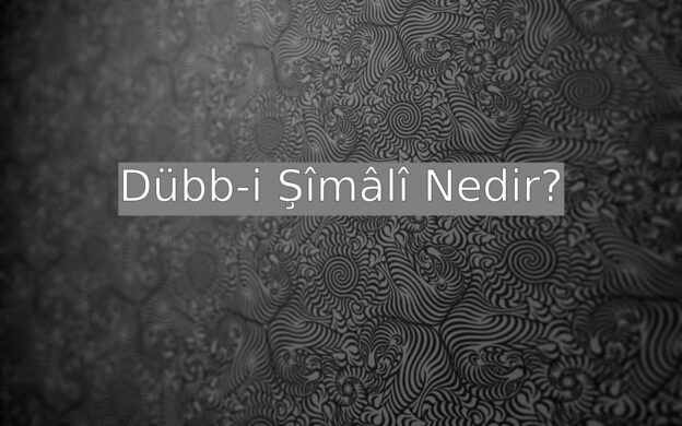 Dübb-i Şimalî Nedir? 1