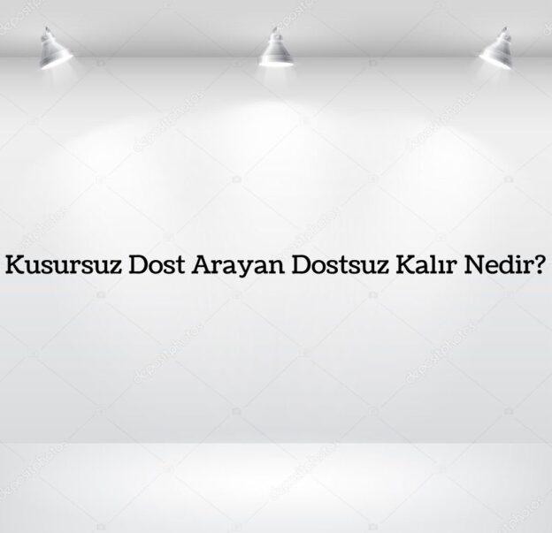 Kusursuz Dost Arayan Dostsuz Kalır Nedir? 3
