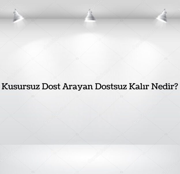 Kusursuz Dost Arayan Dostsuz Kalır Nedir? 3