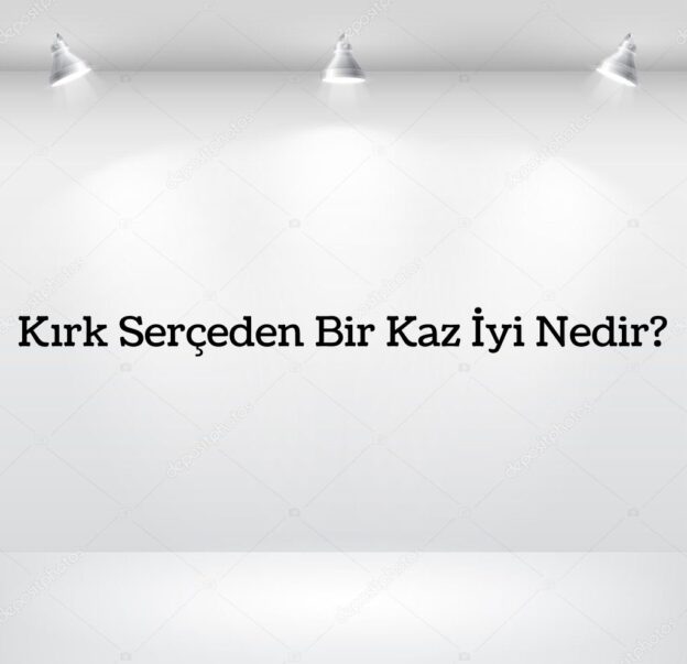 Kırk Serçeden Bir Kaz İyi Nedir? 2