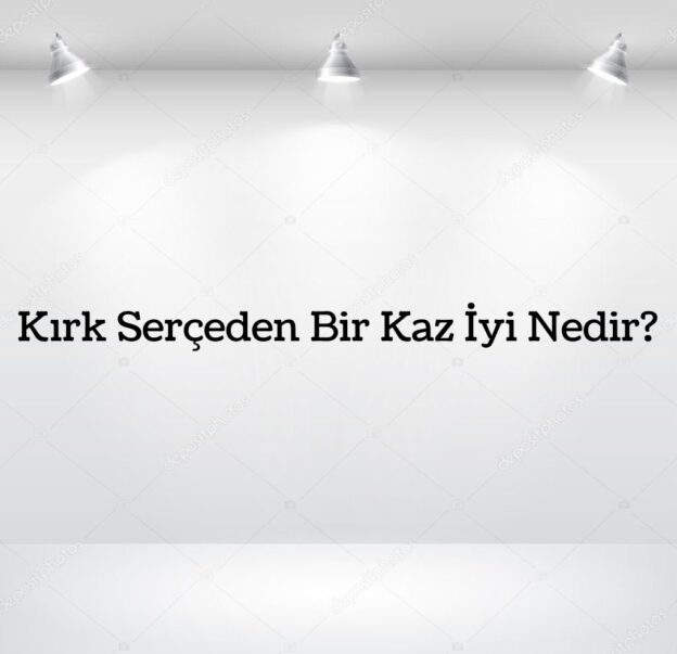 Kırk Serçeden Bir Kaz İyi Nedir? 1