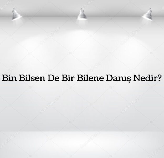 Bin Bilsen De Bir Bilene Danış Nedir? 2