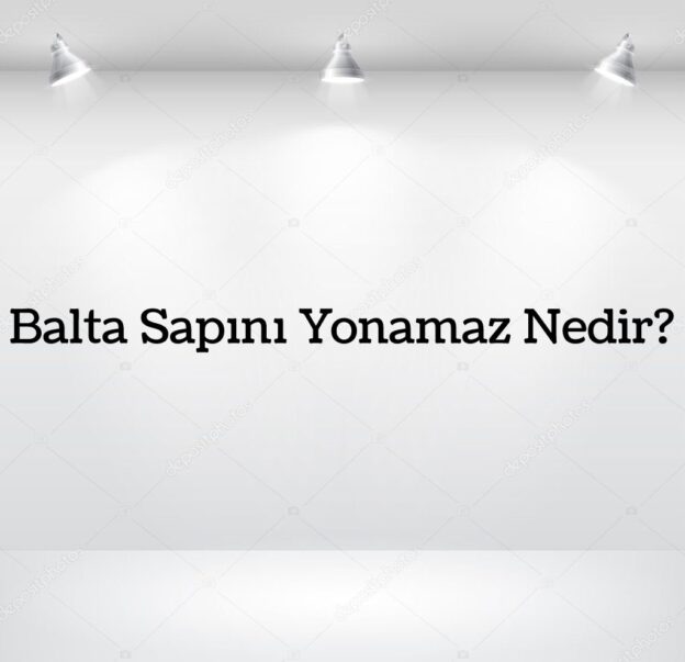 Balta Sapını yonamaz Nedir? 1